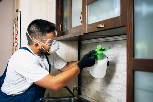 Best Pest Control Near Me  in Osburn, ID