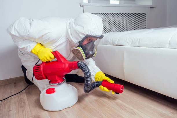 Best Affordable Pest Control Services  in Osburn, ID
