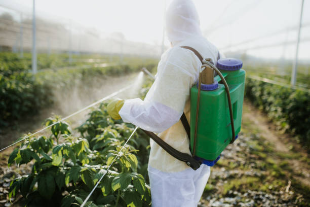 Best Pest Prevention Services  in Osburn, ID